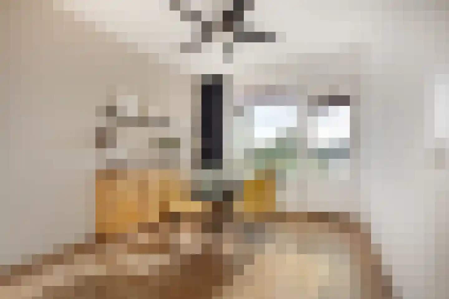 Splinterlaan 12 Leiderdorp thumbnail 4