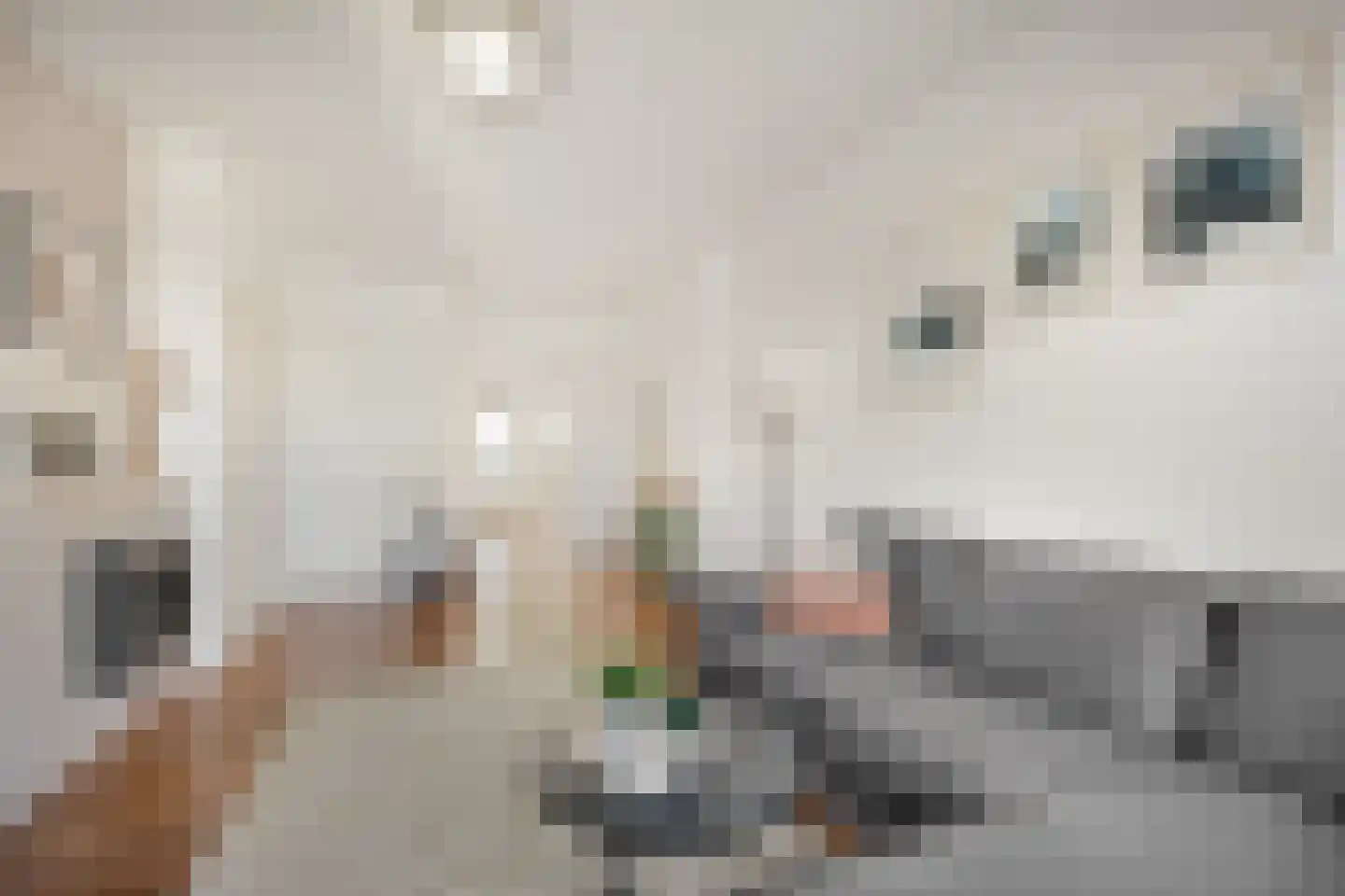 Splinterlaan 12 Leiderdorp thumbnail 6