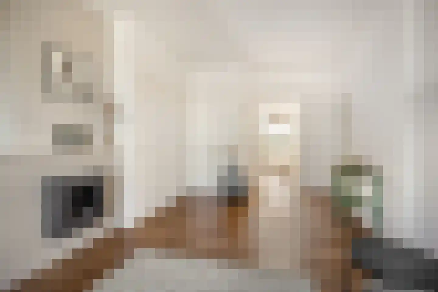 Splinterlaan 12 Leiderdorp thumbnail 8