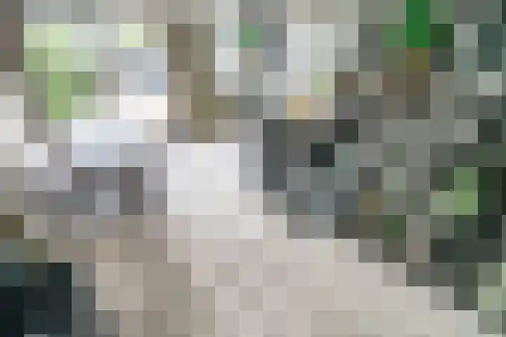 Splinterlaan 135 Leiderdorp thumbnail 11