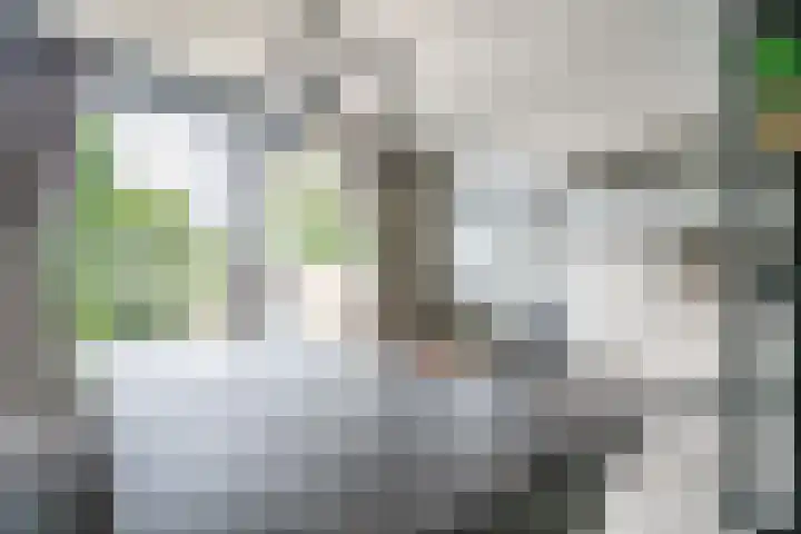 Splinterlaan 135 Leiderdorp thumbnail 13