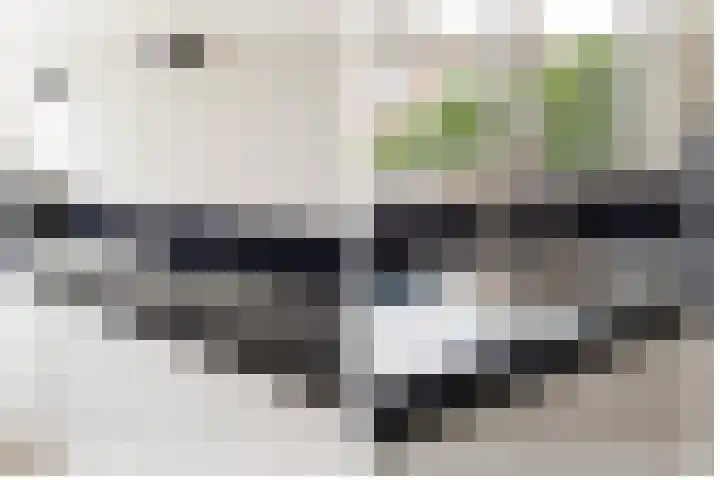 Splinterlaan 135 Leiderdorp thumbnail 28