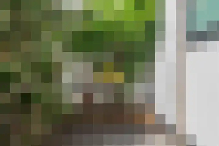 Splinterlaan 135 Leiderdorp foto 3