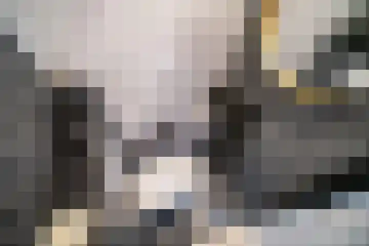 Splinterlaan 135 Leiderdorp thumbnail 30