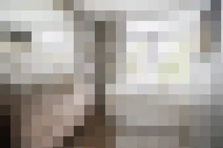 Splinterlaan 135 Leiderdorp thumbnail 32