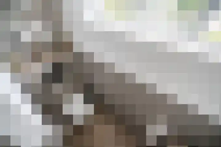 Splinterlaan 135 Leiderdorp thumbnail 45