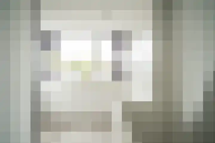 Splinterlaan 135 Leiderdorp thumbnail 47