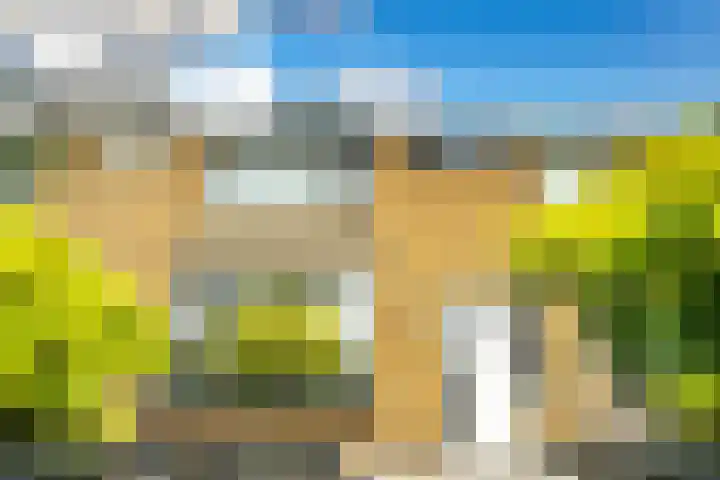 Splinterlaan 135 Leiderdorp thumbnail 54