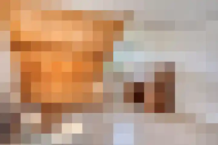 Splinterlaan 138 Leiderdorp thumbnail 27