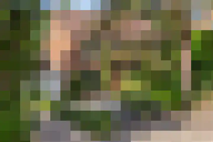 Splinterlaan 138 Leiderdorp thumbnail 46