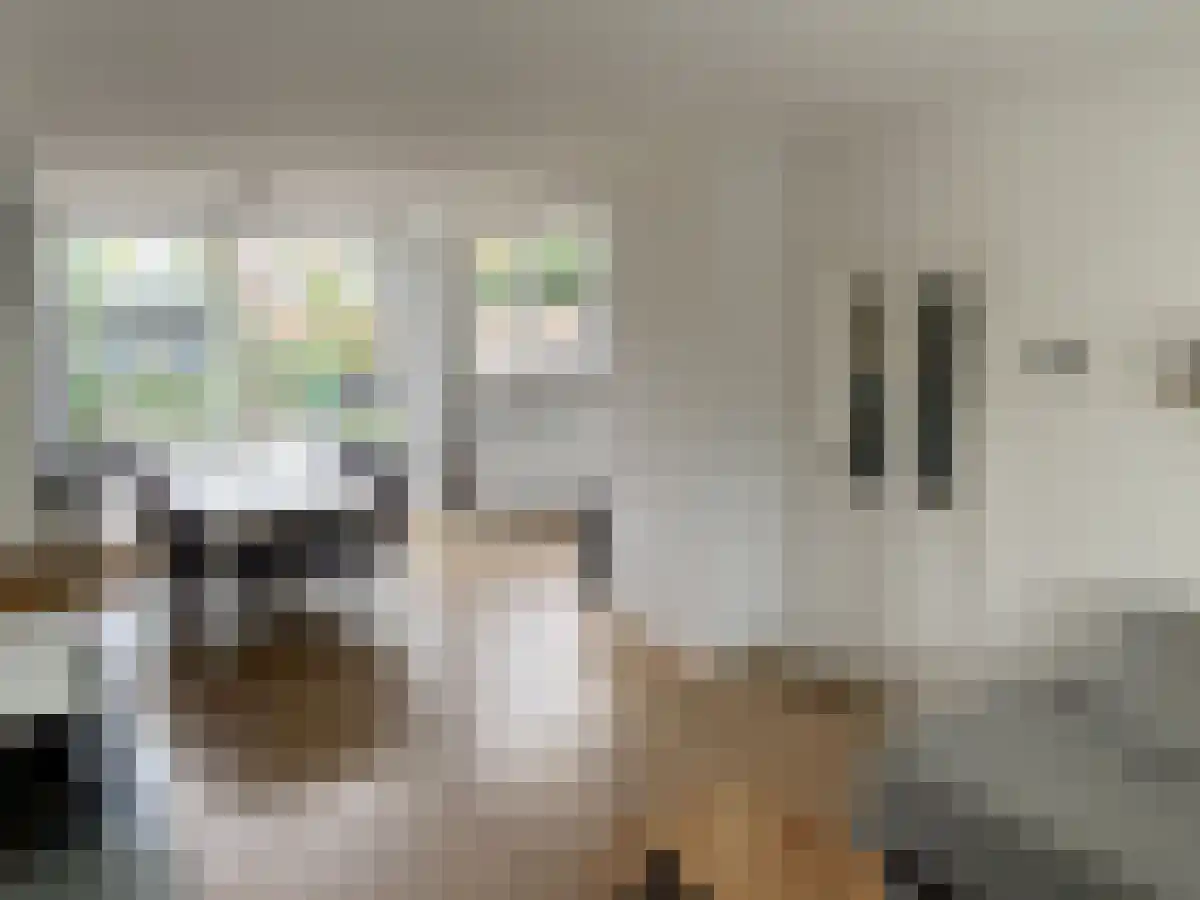 Splinterlaan 161 Leiderdorp thumbnail 4