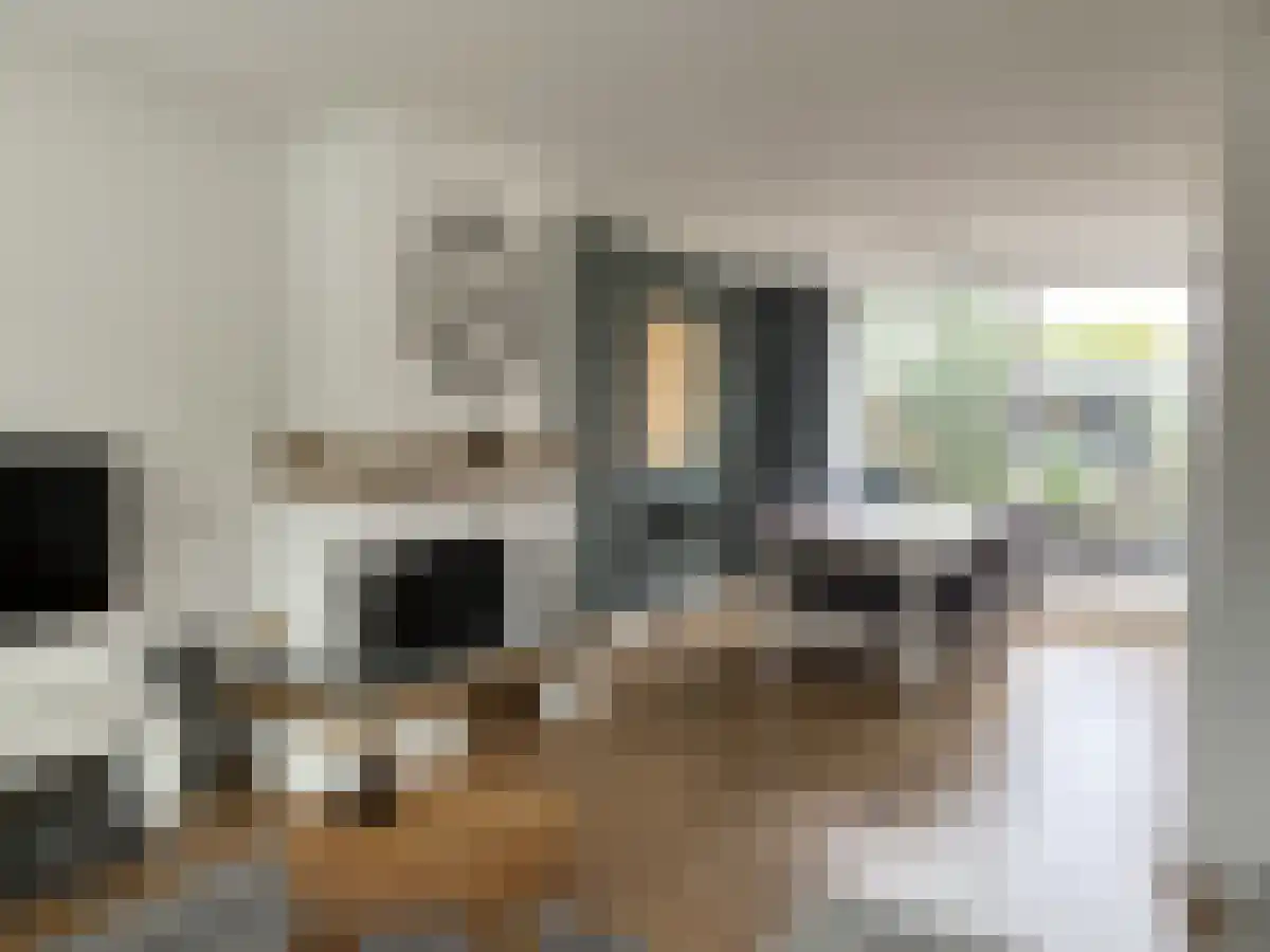Splinterlaan 161 Leiderdorp thumbnail 6