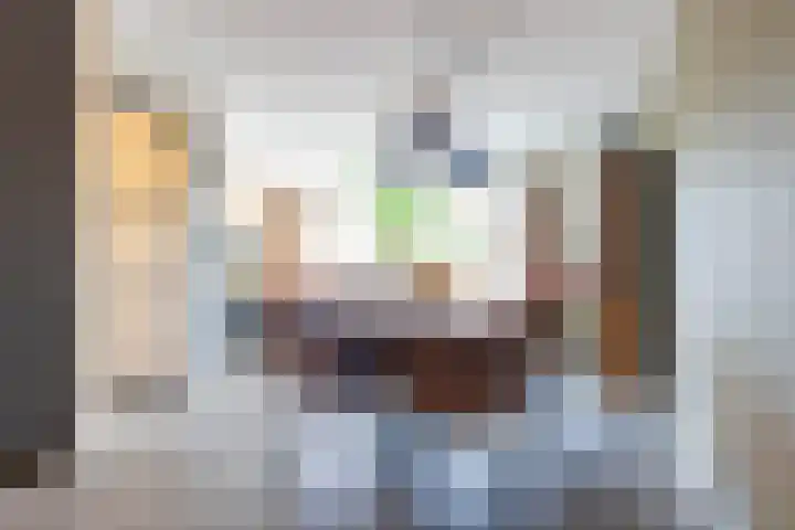 Splinterlaan 188 Leiderdorp thumbnail 12
