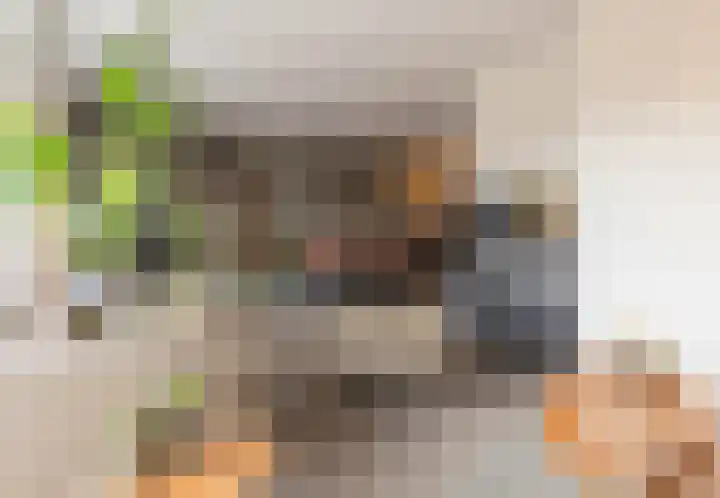 Splinterlaan 188 Leiderdorp thumbnail 13