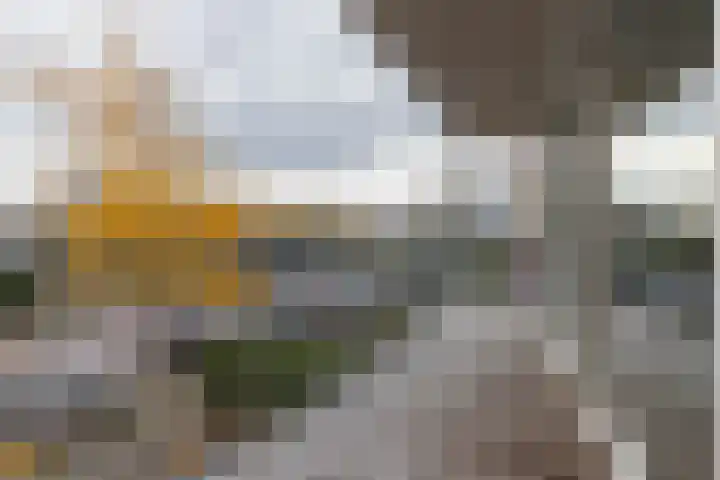 Splinterlaan 188 Leiderdorp thumbnail 16