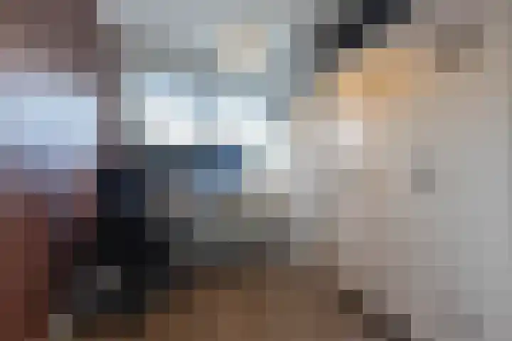 Splinterlaan 188 Leiderdorp thumbnail 20