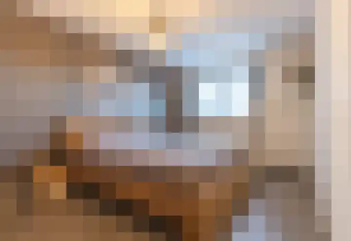 Splinterlaan 188 Leiderdorp thumbnail 21
