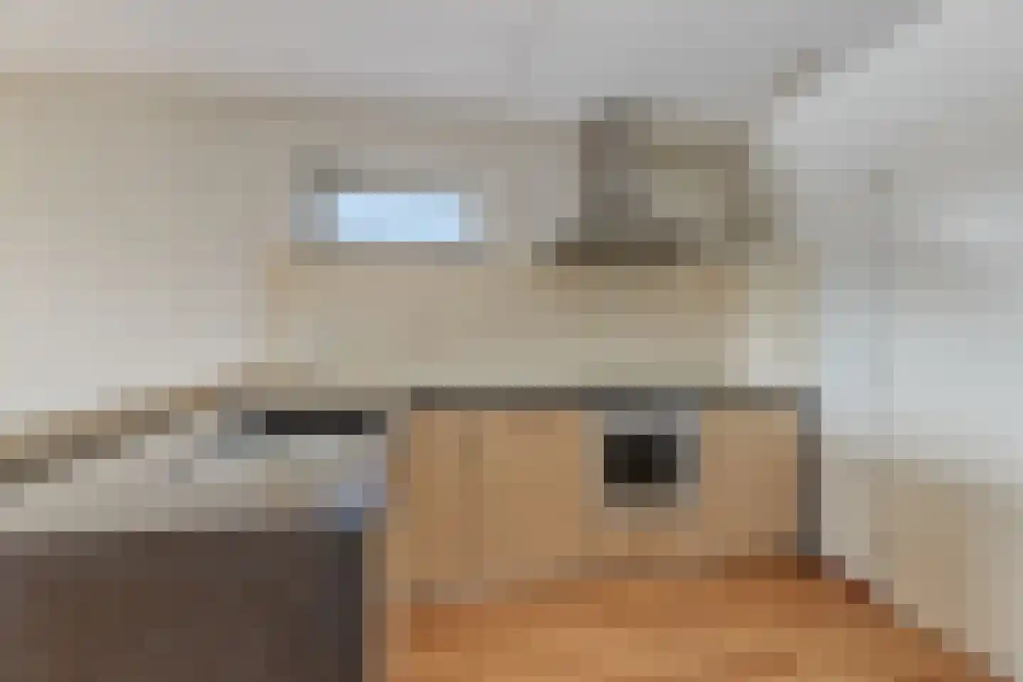 Splinterlaan 212 Leiderdorp thumbnail 14