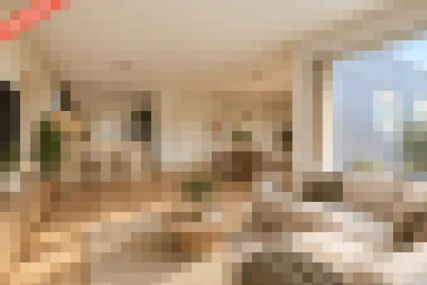 Splinterlaan 212 Leiderdorp thumbnail 16
