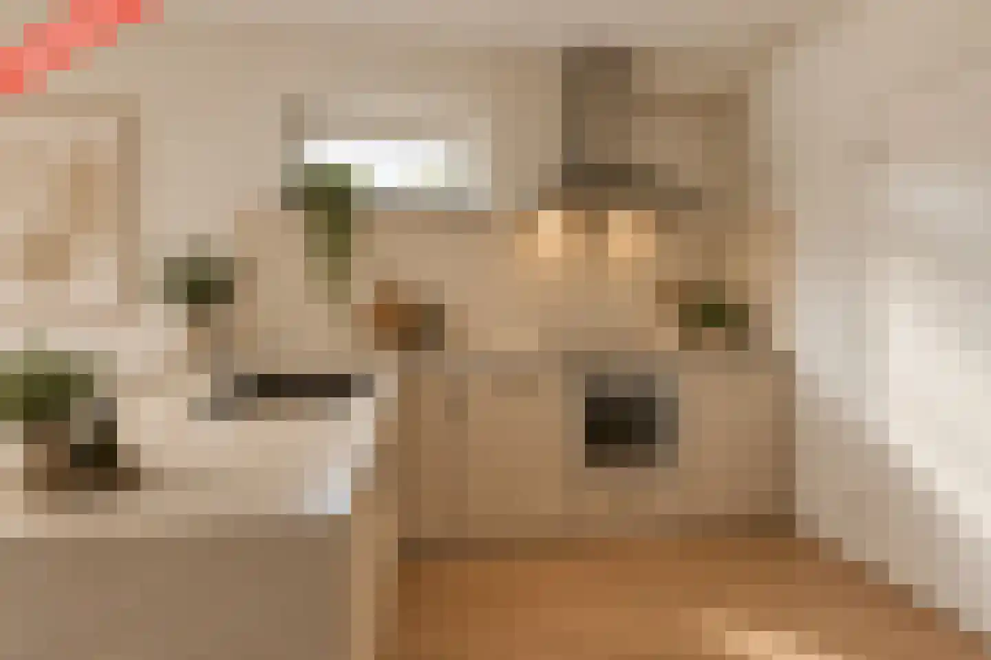 Splinterlaan 212 Leiderdorp thumbnail 22