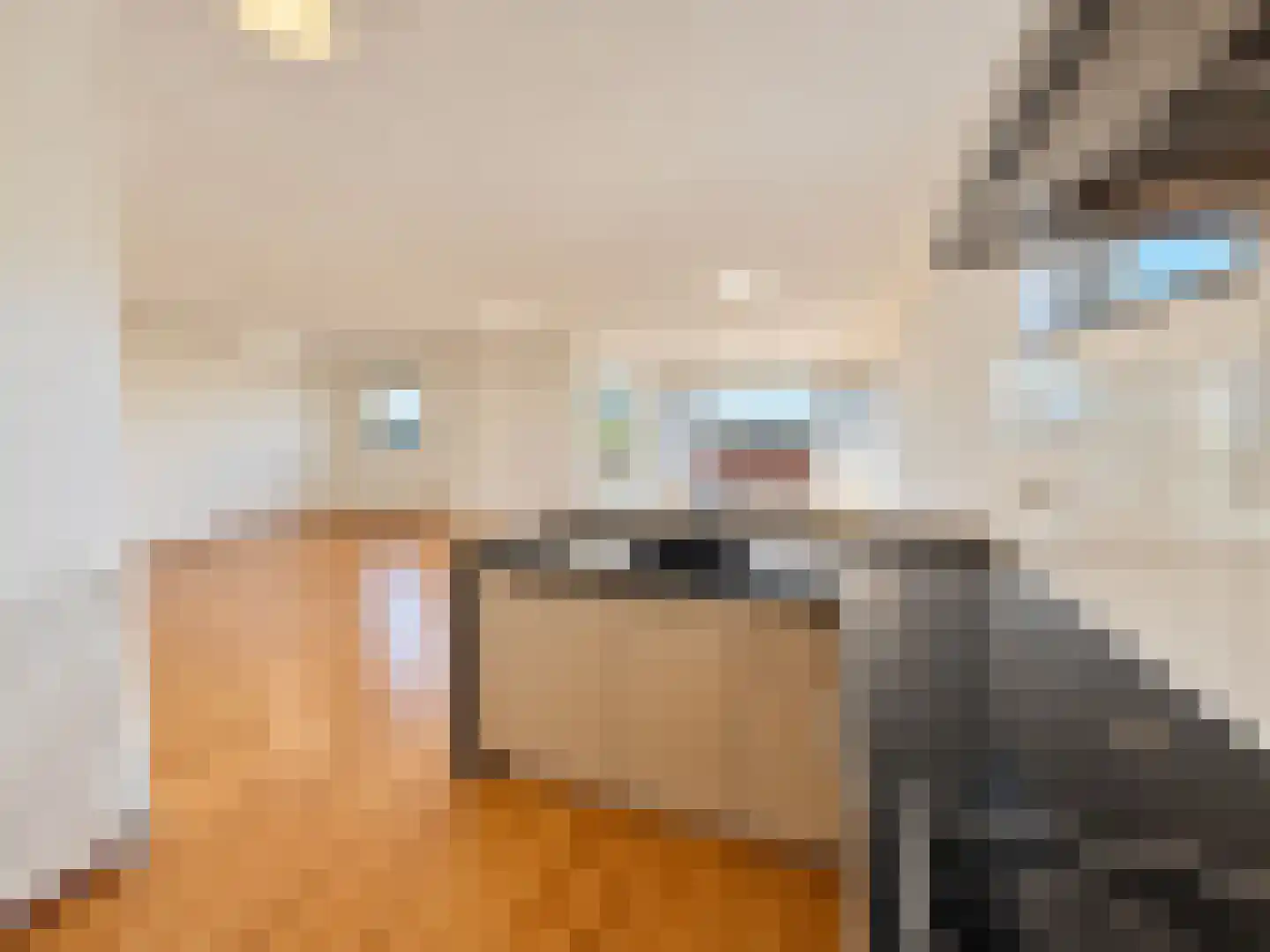 Splinterlaan 212 Leiderdorp thumbnail 24