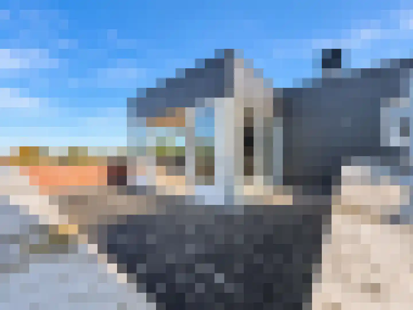 Splinterlaan 212 Leiderdorp thumbnail 37
