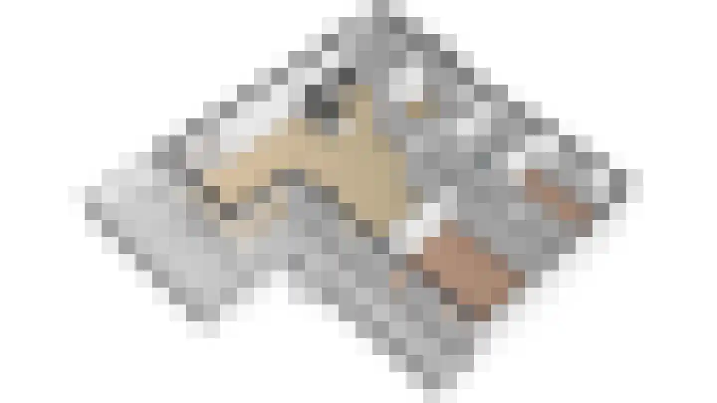 Splinterlaan 212 Leiderdorp thumbnail 47