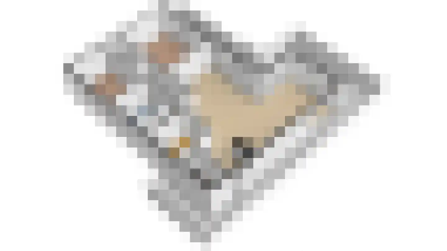 Splinterlaan 212 Leiderdorp thumbnail 48
