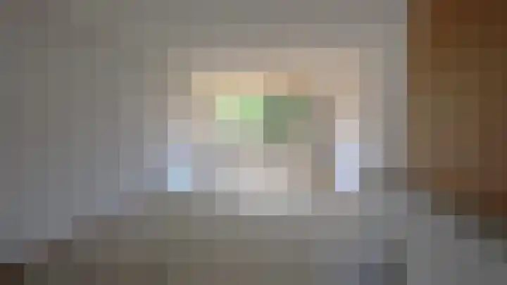 Splinterlaan 27 Leiderdorp thumbnail 12