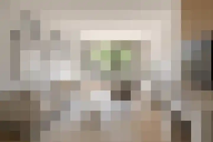 Splinterlaan 27 Leiderdorp thumbnail 13