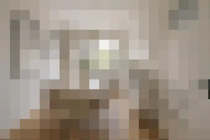 Splinterlaan 27 Leiderdorp thumbnail 15