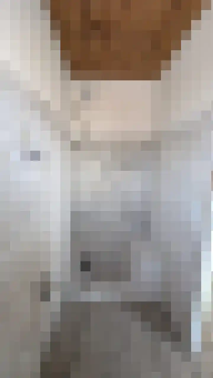 Splinterlaan 27 Leiderdorp thumbnail 19
