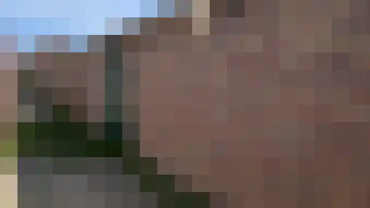 Splinterlaan 27 Leiderdorp thumbnail 24