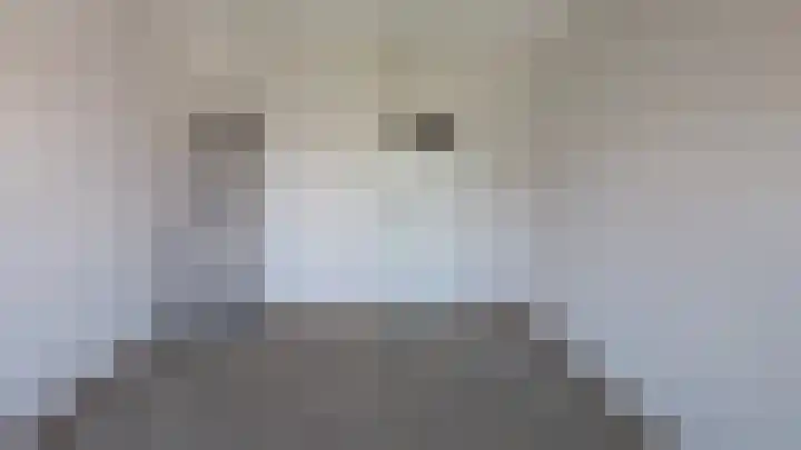Splinterlaan 27 Leiderdorp thumbnail 4