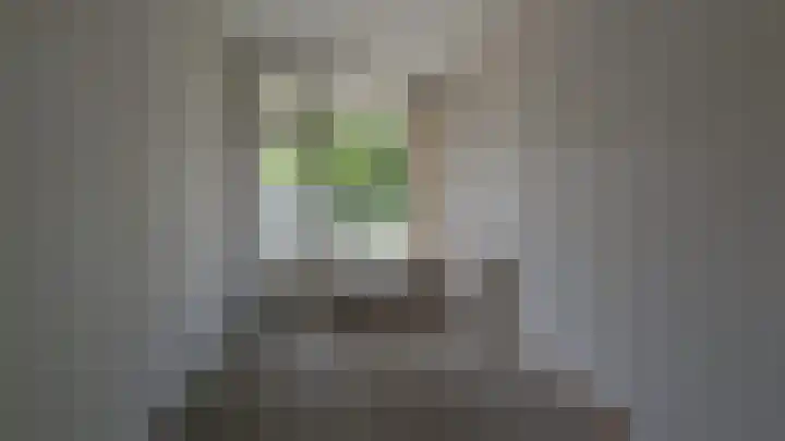 Splinterlaan 27 Leiderdorp thumbnail 6