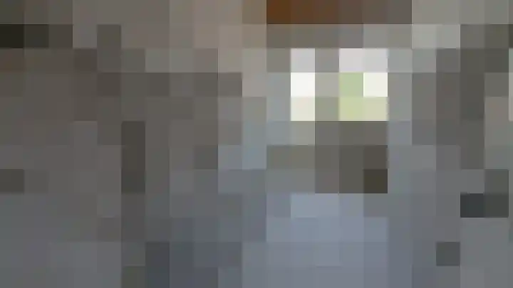Splinterlaan 27 Leiderdorp thumbnail 8