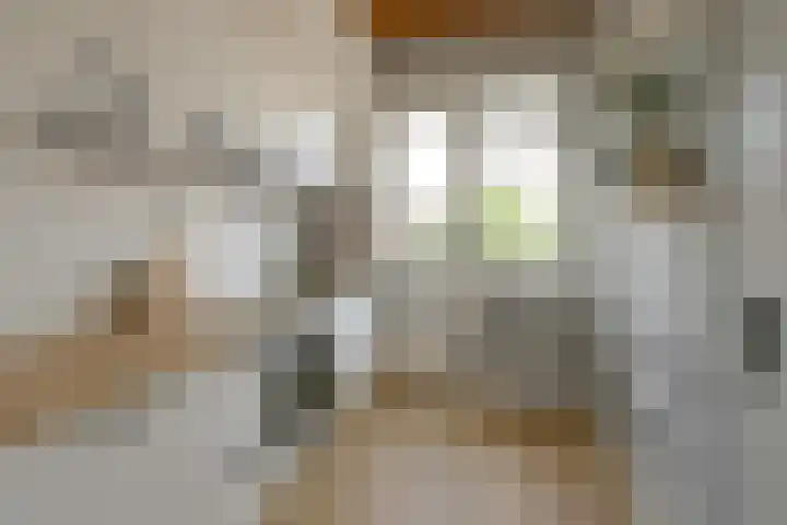 Splinterlaan 27 Leiderdorp thumbnail 9