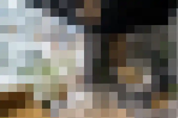 Splinterlaan 38 Leiderdorp thumbnail 13