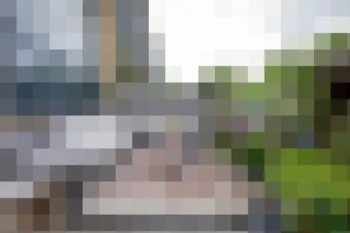 Splinterlaan 38 Leiderdorp thumbnail 28