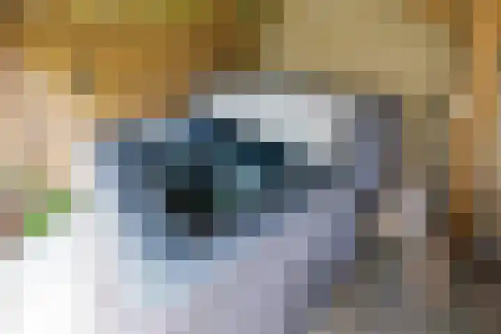 Splinterlaan 38 Leiderdorp thumbnail 32