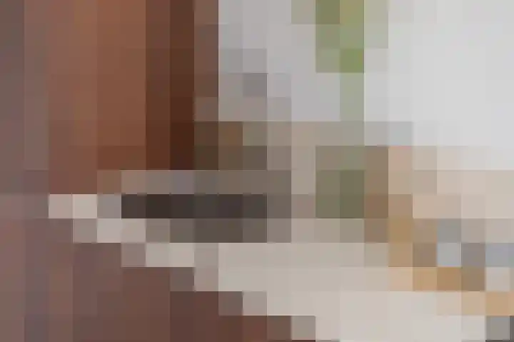 Splinterlaan 38 Leiderdorp thumbnail 40