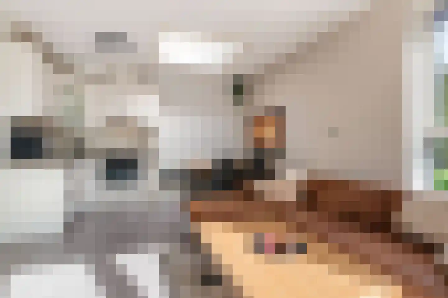 Splinterstraat 4 Hoofddorp thumbnail 13