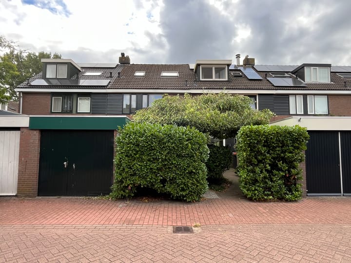 Splitshoorn 48 in Monnickendam foto