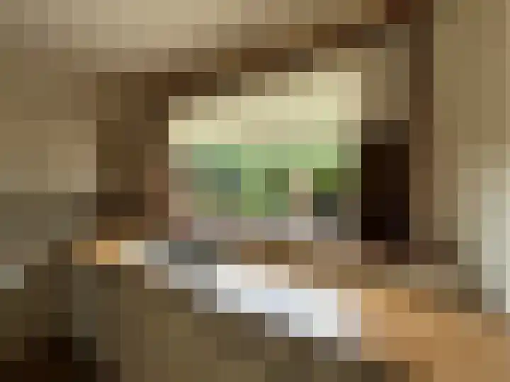 Splitshoorn 48 Monnickendam thumbnail 11