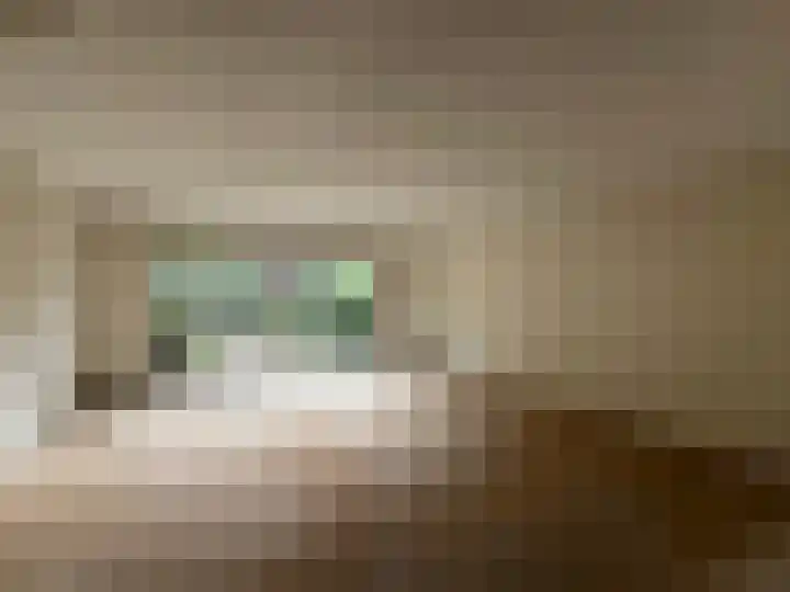 Splitshoorn 48 Monnickendam thumbnail 15