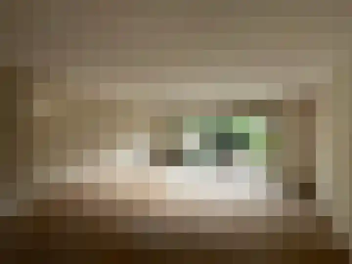 Splitshoorn 48 Monnickendam thumbnail 16