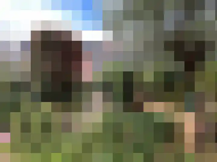 Splitshoorn 48 Monnickendam thumbnail 19