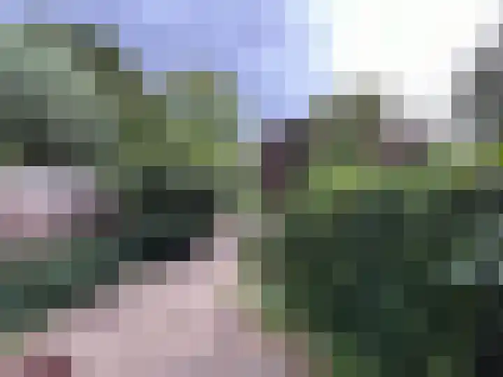 Splitshoorn 48 Monnickendam thumbnail 20