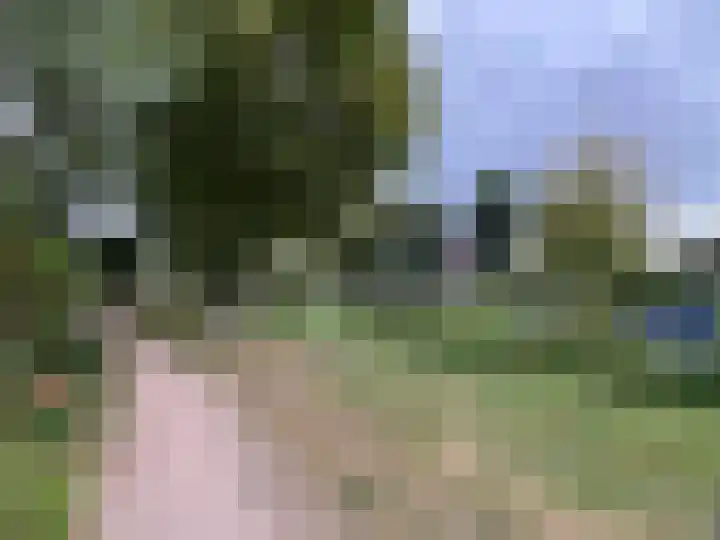 Splitshoorn 48 Monnickendam thumbnail 22