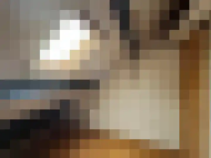 Splitshoorn 48 Monnickendam thumbnail 33